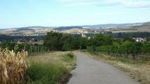 Blick auf die Wanderstrecke mit Blick nach St. Andr� an der Traisen 