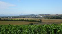 sehr sch�ner Fernblick Richtung St. P�lten bis zum �tscher