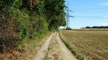 Blick auf die Wanderstrecke auf der Hochebene "H�hnerb�hel"