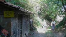  Blick auf die Wanderstrecke mit Infotafel 