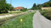  Wanderroute entlang des Traisenkanal (M�hlgraben) 