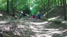  Blick auf die Wanderstrecke 