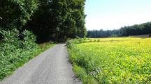  Blick auf die Wanderstrecke 
