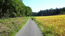  Blick auf die Wanderstrecke 