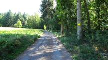  Blick auf die Wanderstrecke 