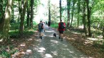 Blick auf die Wanderstrecke 