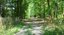 Blick auf die Wanderstrecke 