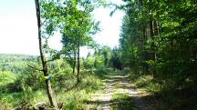  Blick auf die Wanderstrecke 