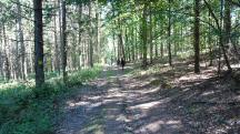  Blick auf die Wanderstrecke 