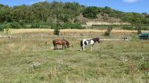  ein sch�nes Bild 