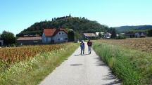 Blick auf die Wanderstrecke auf der Weinberggasse