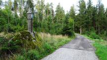  Blick auf die Wanderstrecke 