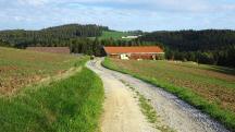  Blick auf die Wanderstrecke zum Geh�ft Schindleck 