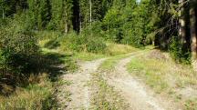  Blick auf die Wanderstrecke 