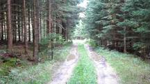  Blick auf die Wanderstrecke 