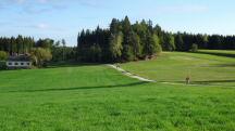  ein Blick zur�ck 