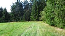  Blick auf die Wanderstrecke 