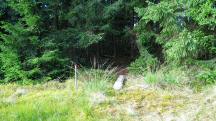  Blick auf die Wanderstrecke 