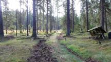  Blick auf die Wanderstrecke 