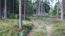  Blick auf die Wanderstrecke 