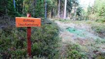  Blick auf die Wanderstrecke mit Infotafel 