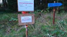  Blick zu den Infotafeln bei der Streckenteilung 