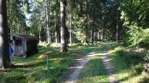  Blick auf die Wanderstrecke 