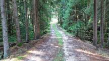 Blick auf die Wanderstrecke 