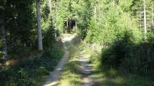  Blick auf die Wanderstrecke 