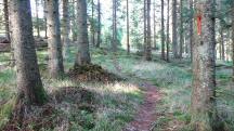  Blick auf die Wanderstrecke 