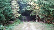  Blick auf die Wanderstrecke 