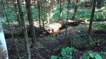  Blick zum Weinbergbach 