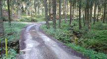  Blick auf die Wanderstrecke beim Weinbergbach 