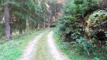  Blick auf die Wanderstrecke 
