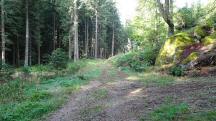 Blick auf die Wanderstrecke 