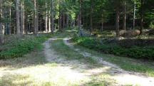  Blick auf die Wanderstrecke 