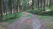  Blick auf die Wanderstrecke 