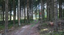  Blick auf die Wanderstrecke 