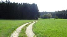  Blick auf die Wanderstrecke 