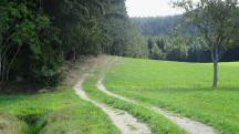  Blick auf die Wanderstrecke 
