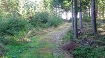  Blick auf die Wanderstrecke 