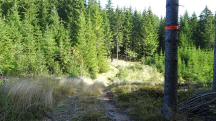  Blick auf die Wanderstrecke 