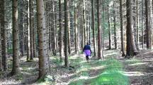  Blick auf die Wanderstrecke 