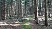  Blick auf die Wanderstrecke 