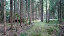  Blick auf die Wanderstrecke 