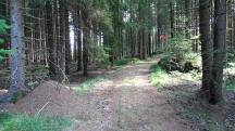  Blick auf die Wanderstrecke 