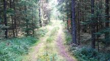  Blick auf die Wanderstrecke 
