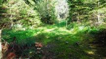  Blick auf die Wanderstrecke 