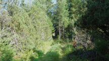  Blick auf die Wanderstrecke 
