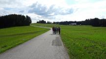 Blick auf die Wanderstrecke - kurz auf der Altmeloner Landstra�e